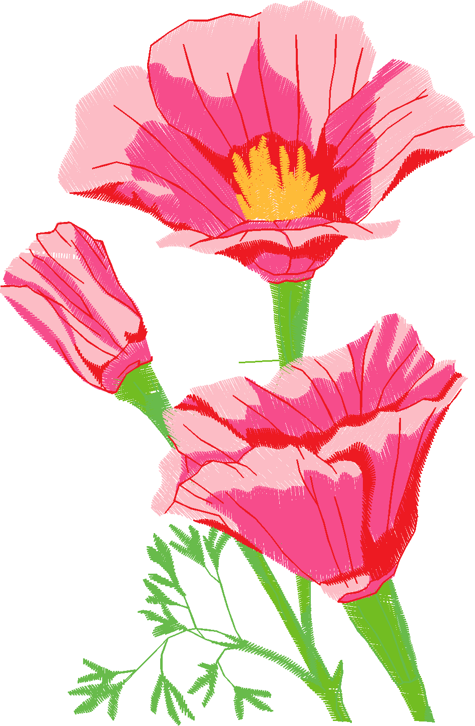 Floral 101  (20)