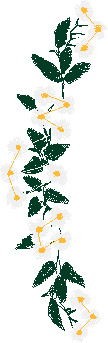 Floral 101  (29)