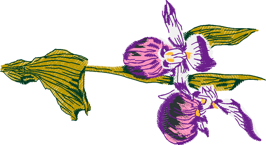 Floral 101  (6)