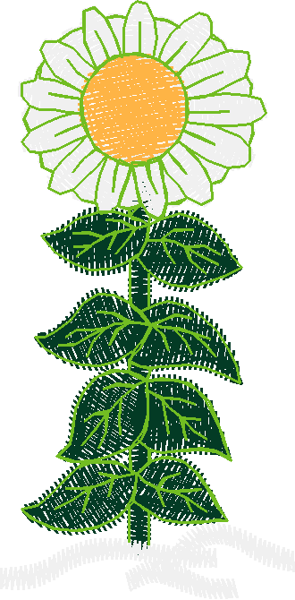 Floral 102  (18)