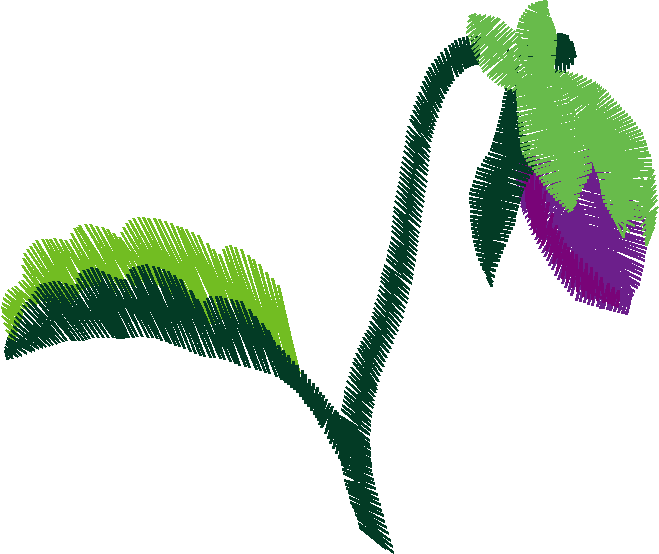 Floral 103  (53)
