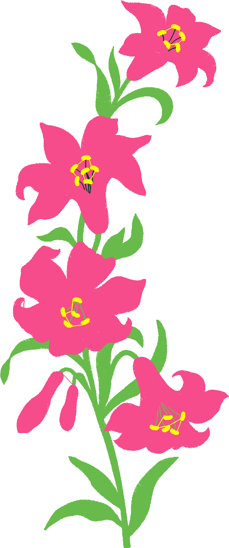Floral 105  (1)