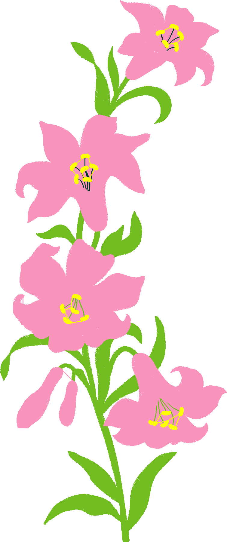 Floral 105  (2)