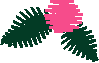 Floral 11  (5)