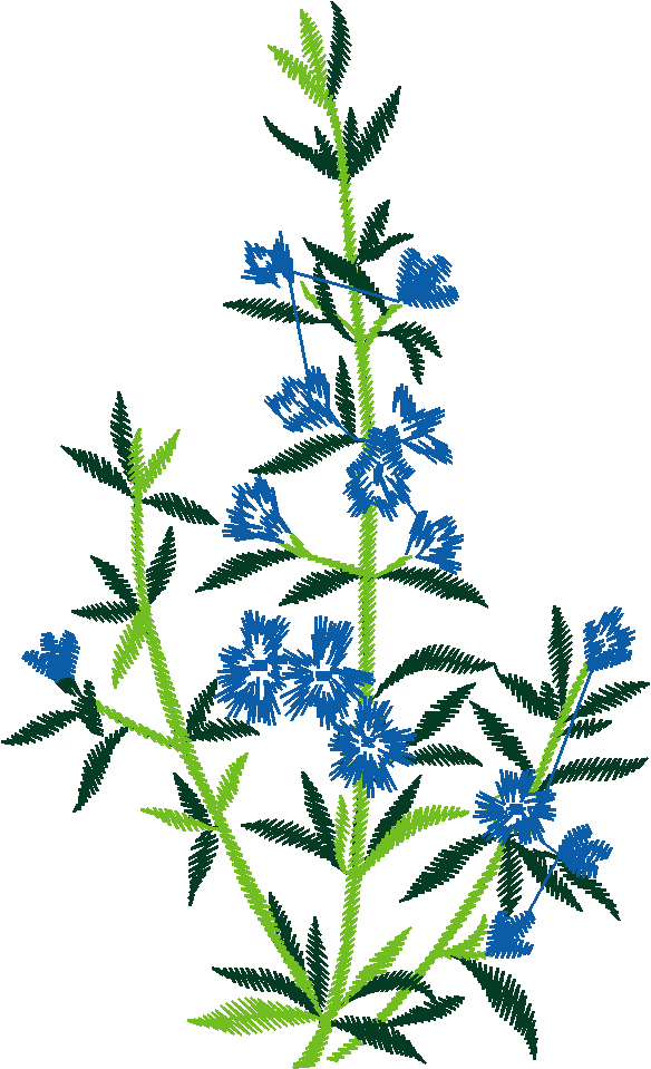 Floral 110 (1)