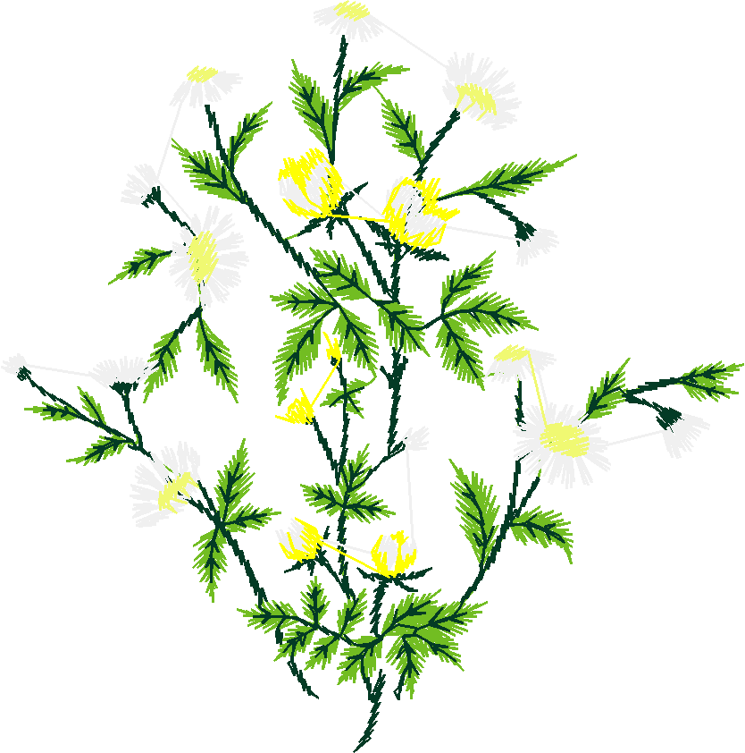 Floral 110 (11)