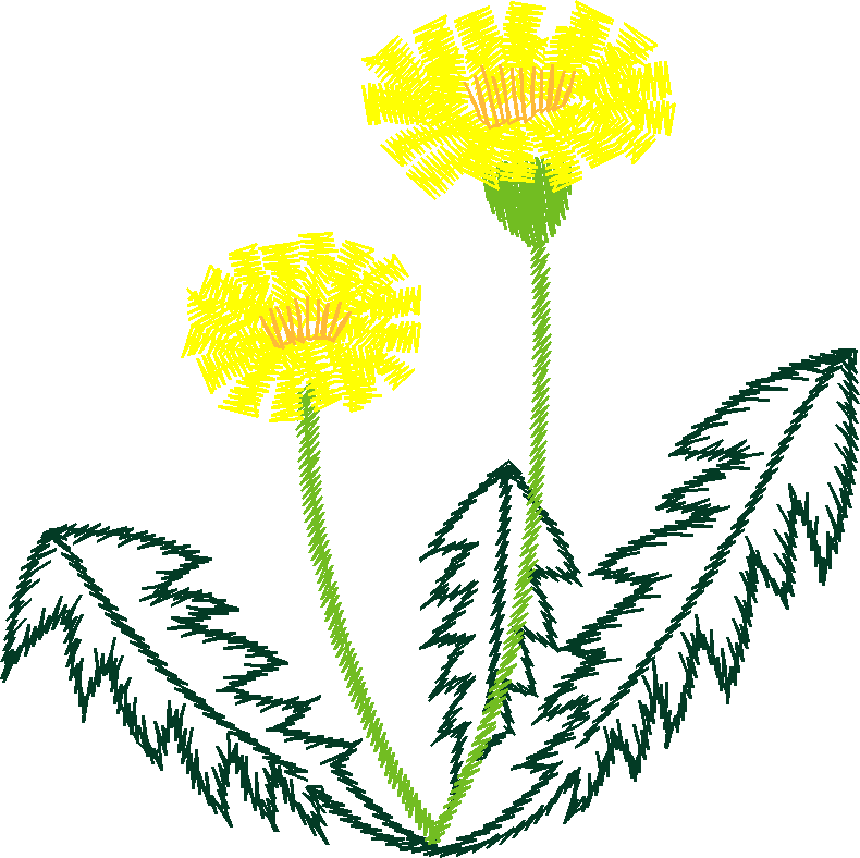 Floral 110 (12)
