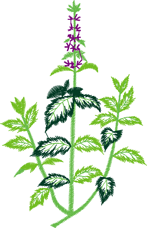 Floral 110 (2)