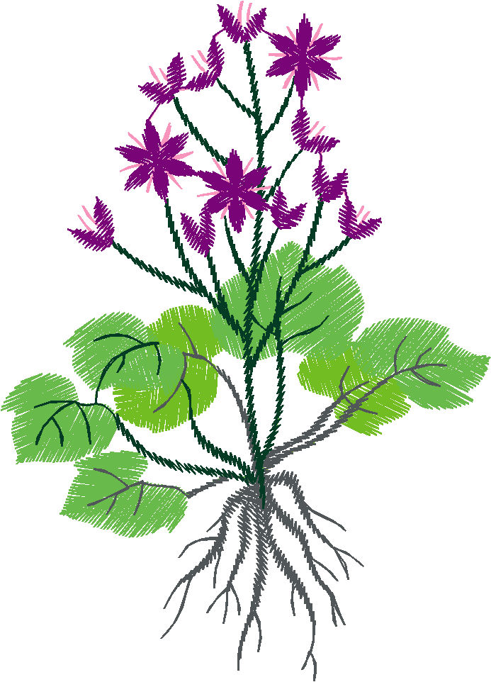 Floral 110 (4)