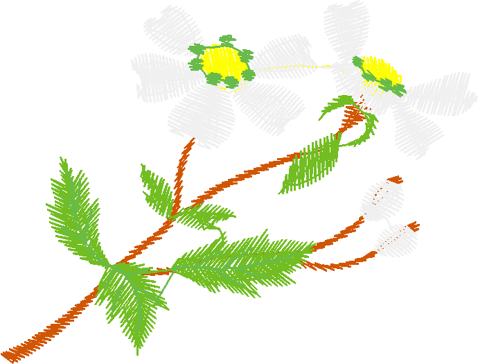 Floral 111  (11)