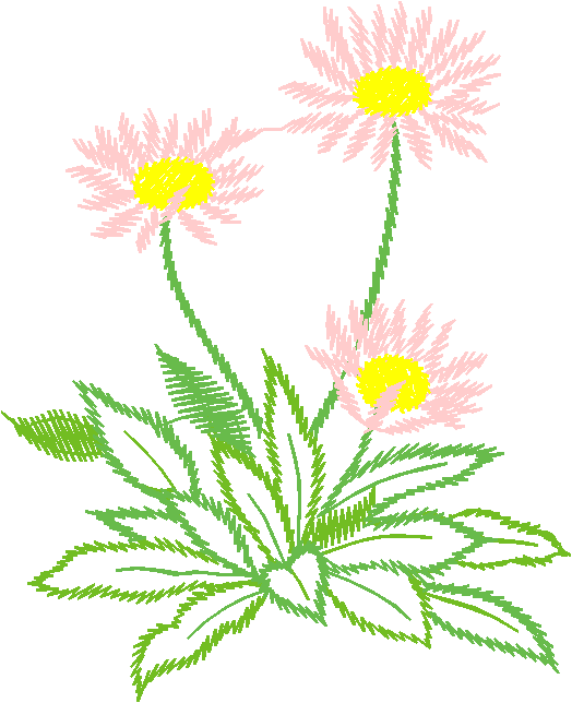 Floral 111  (16)