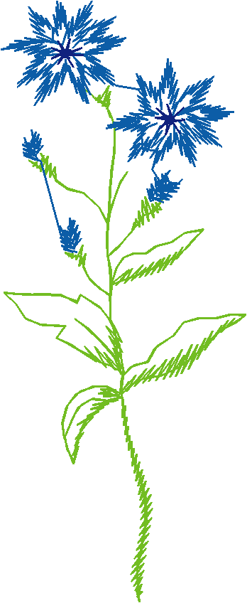 Floral 111  (21)