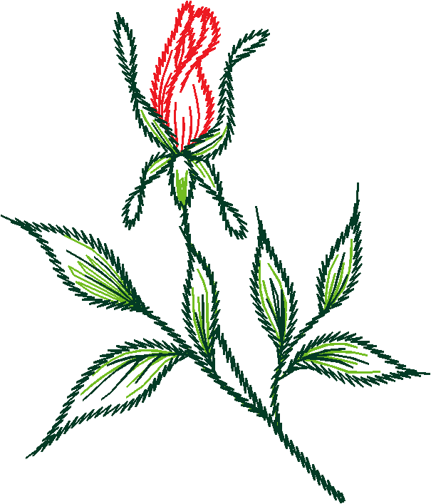 Floral 111  (23)