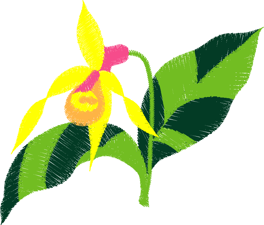 Floral 111  (4)