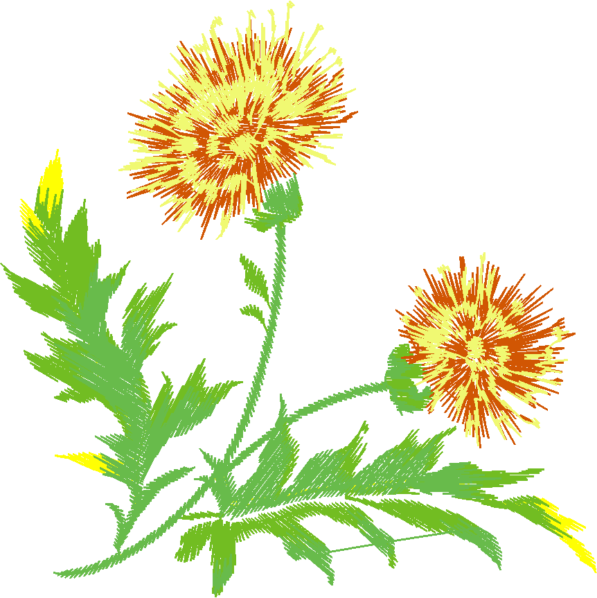 Floral 113  (13)
