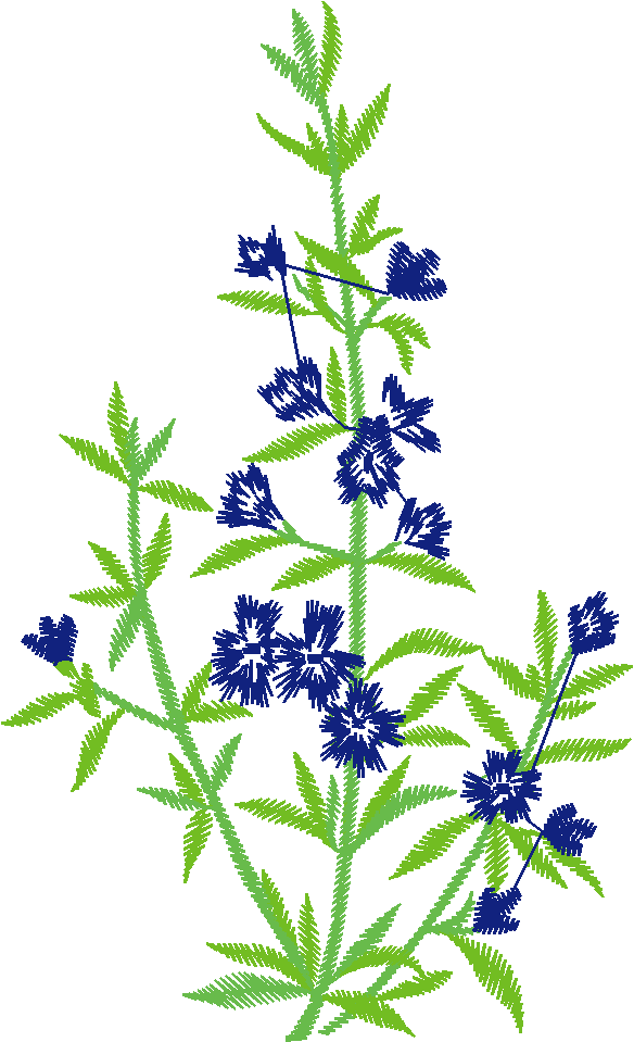 Floral 114  (1)