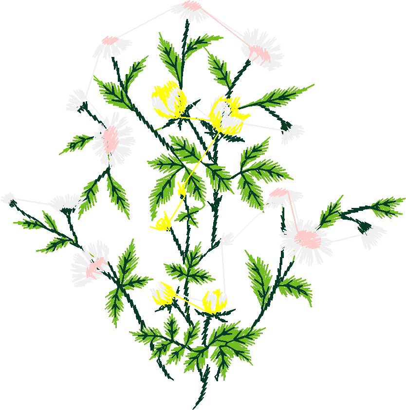 Floral 114  (11)