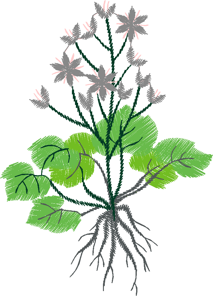Floral 114  (4)