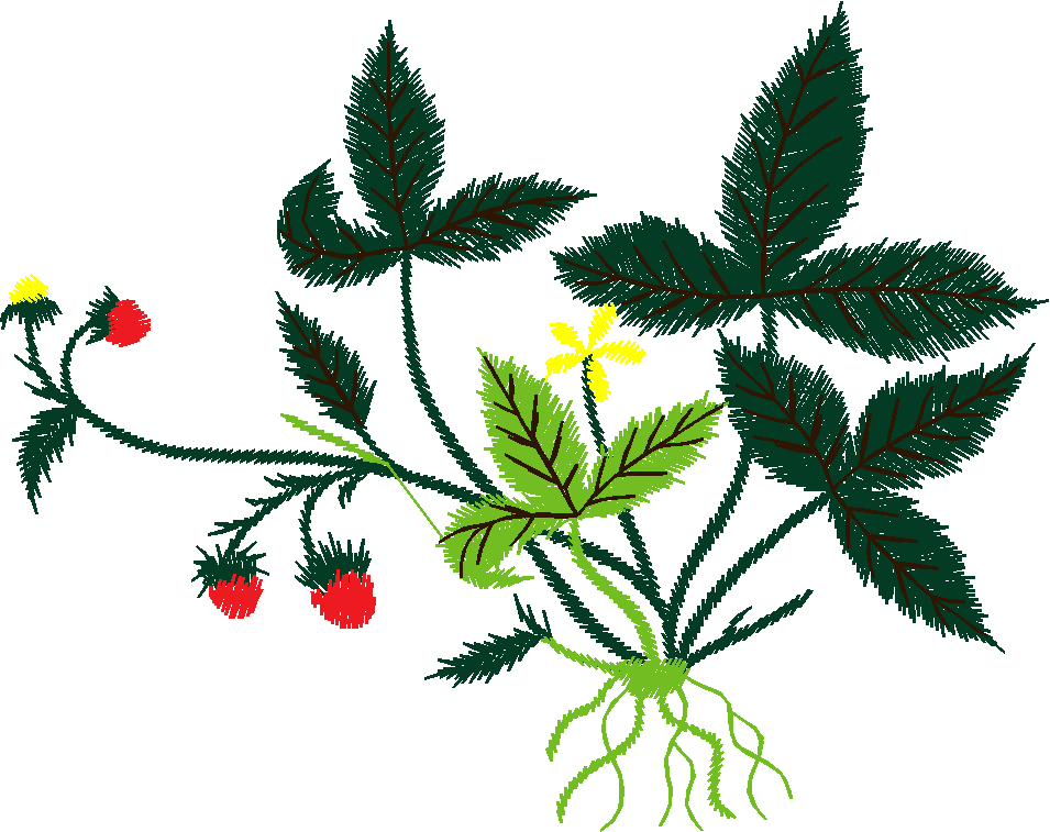 Floral 114  (5)
