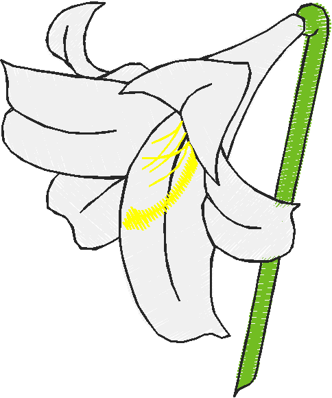 Floral 115  (2)
