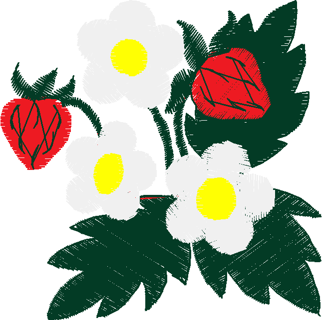 Floral 116  (3)