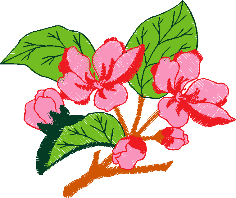 Floral 116  (6)