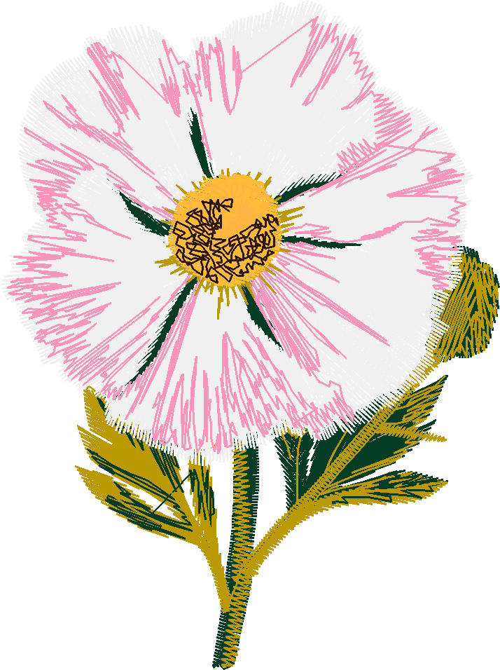 Floral 121  (11)