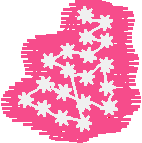 Floral 122  (10)