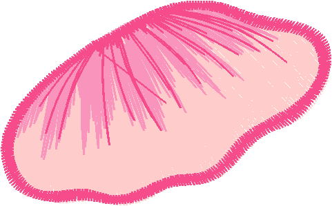 Floral 122  (38)