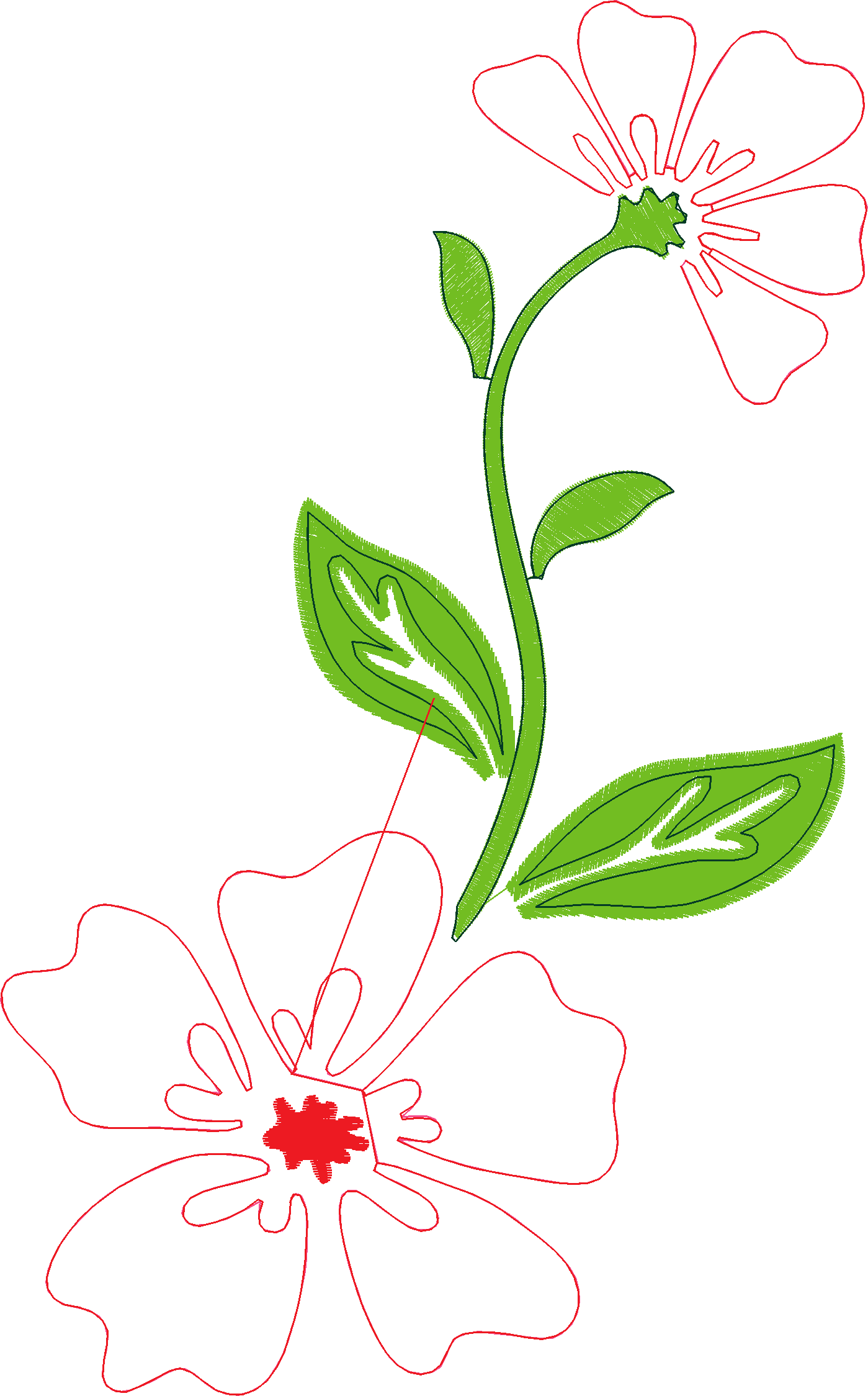 Floral 122  (42)
