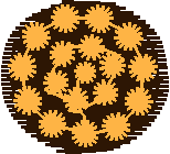 Floral 122  (8)