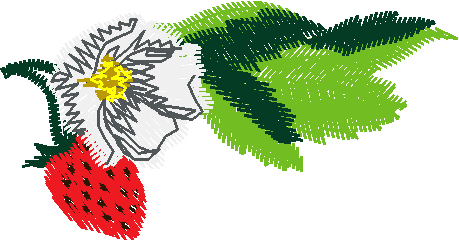 Floral 123  (5)