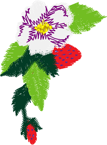 Floral 123  (6)