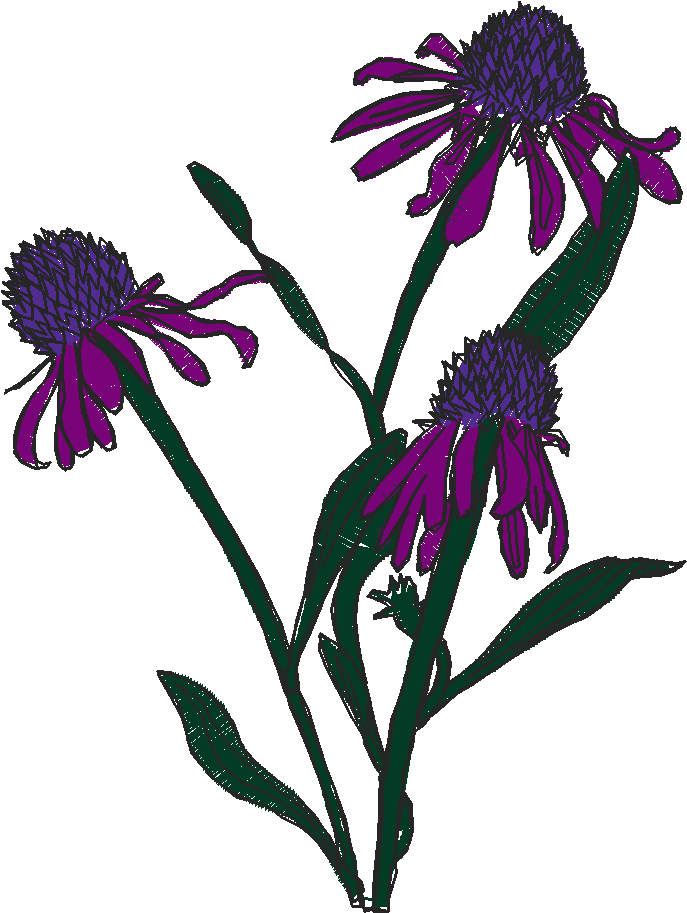Floral 126  (16)