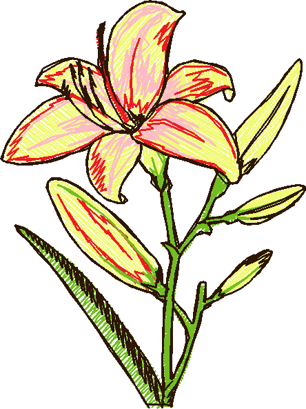 Floral 126  (18)