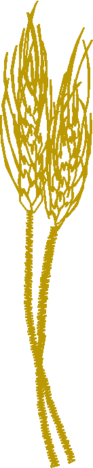 Floral 126  (6)