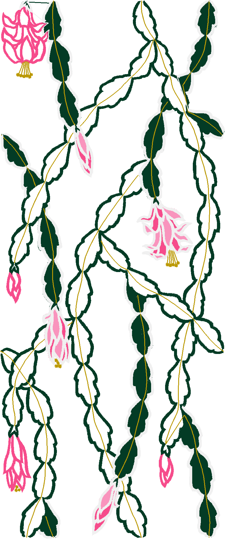 Floral 127  (3)