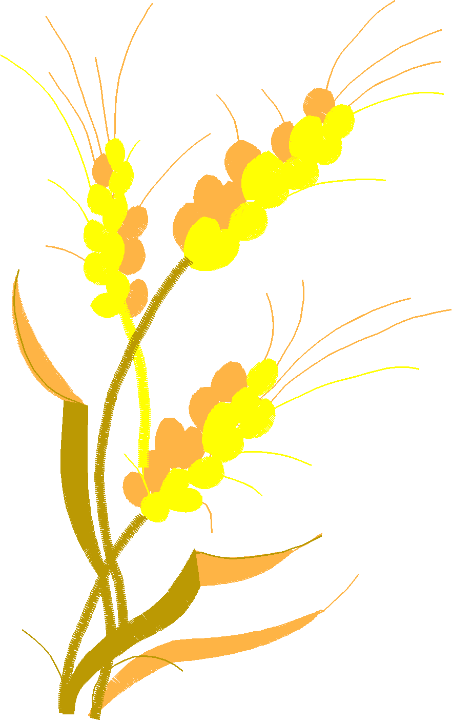 Floral 129  (12)