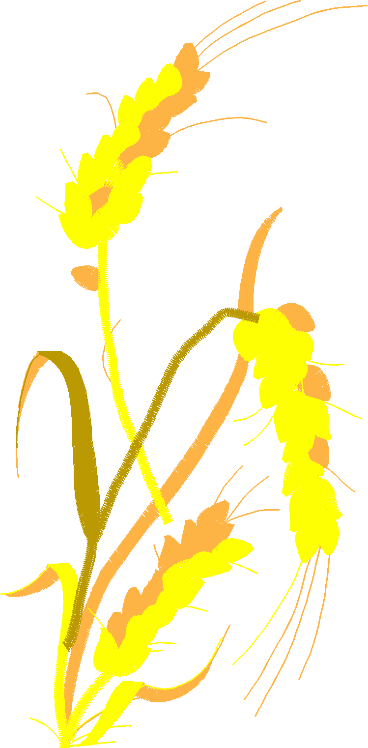 Floral 129  (20)