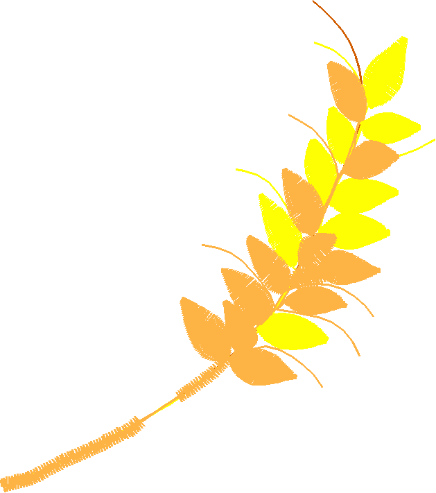 Floral 129  (23)