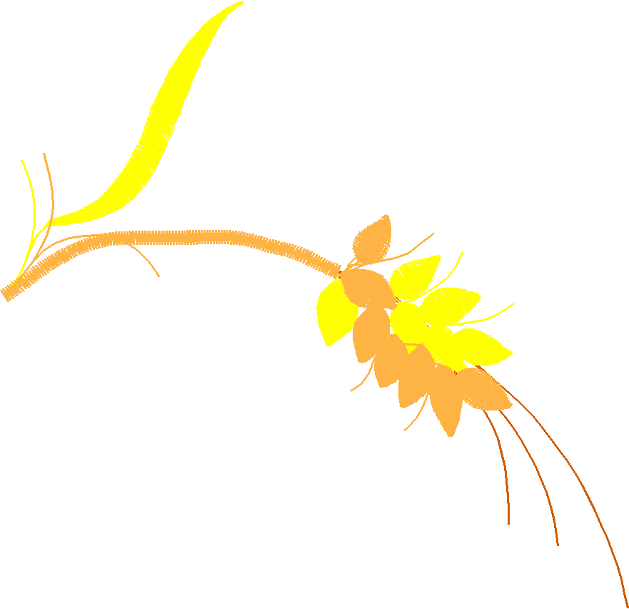 Floral 129  (24)