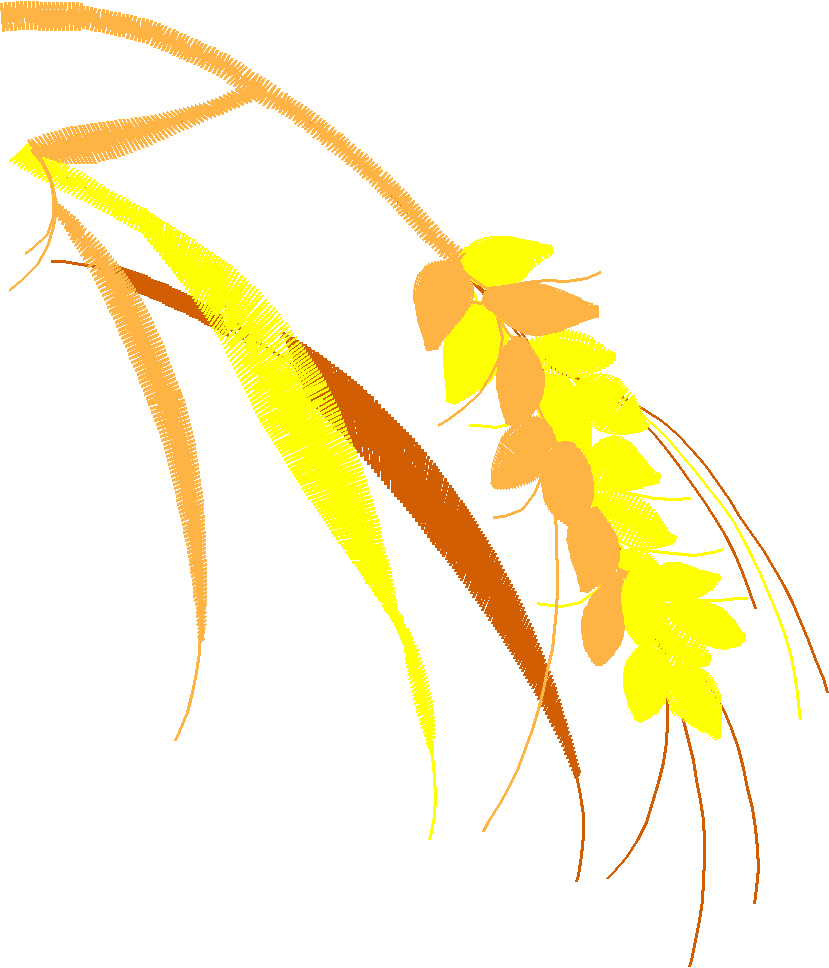 Floral 129  (25)