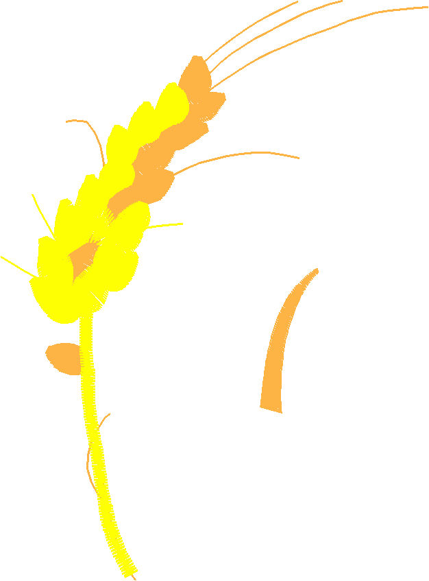 Floral 129  (34)