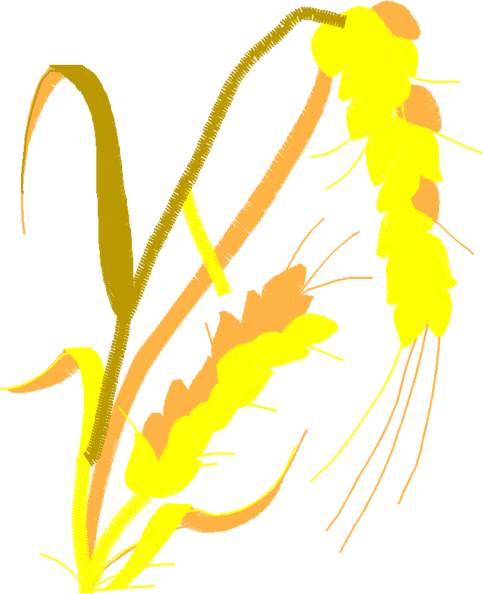 Floral 129  (35)