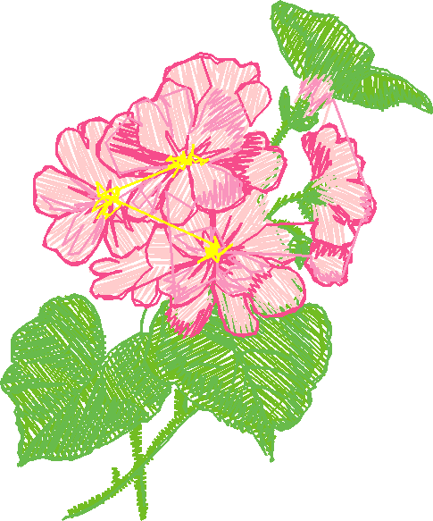Floral 130  (2)