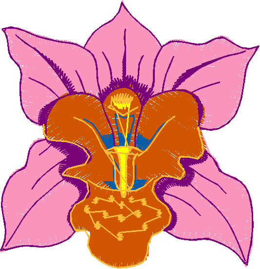 Floral 134  (1)