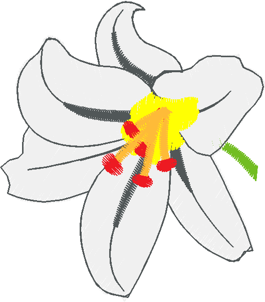 Floral 134  (10)