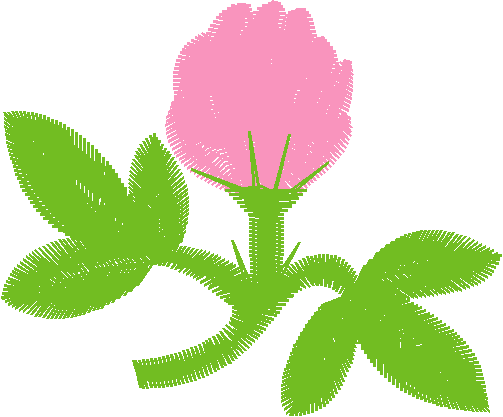 Floral 134  (14)