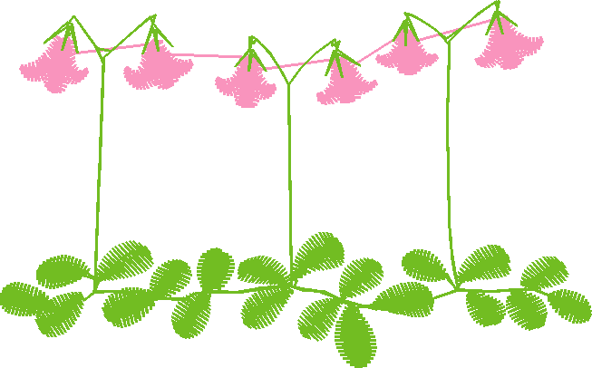 Floral 134  (15)