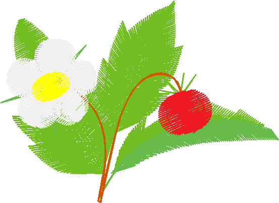 Floral 134  (25)